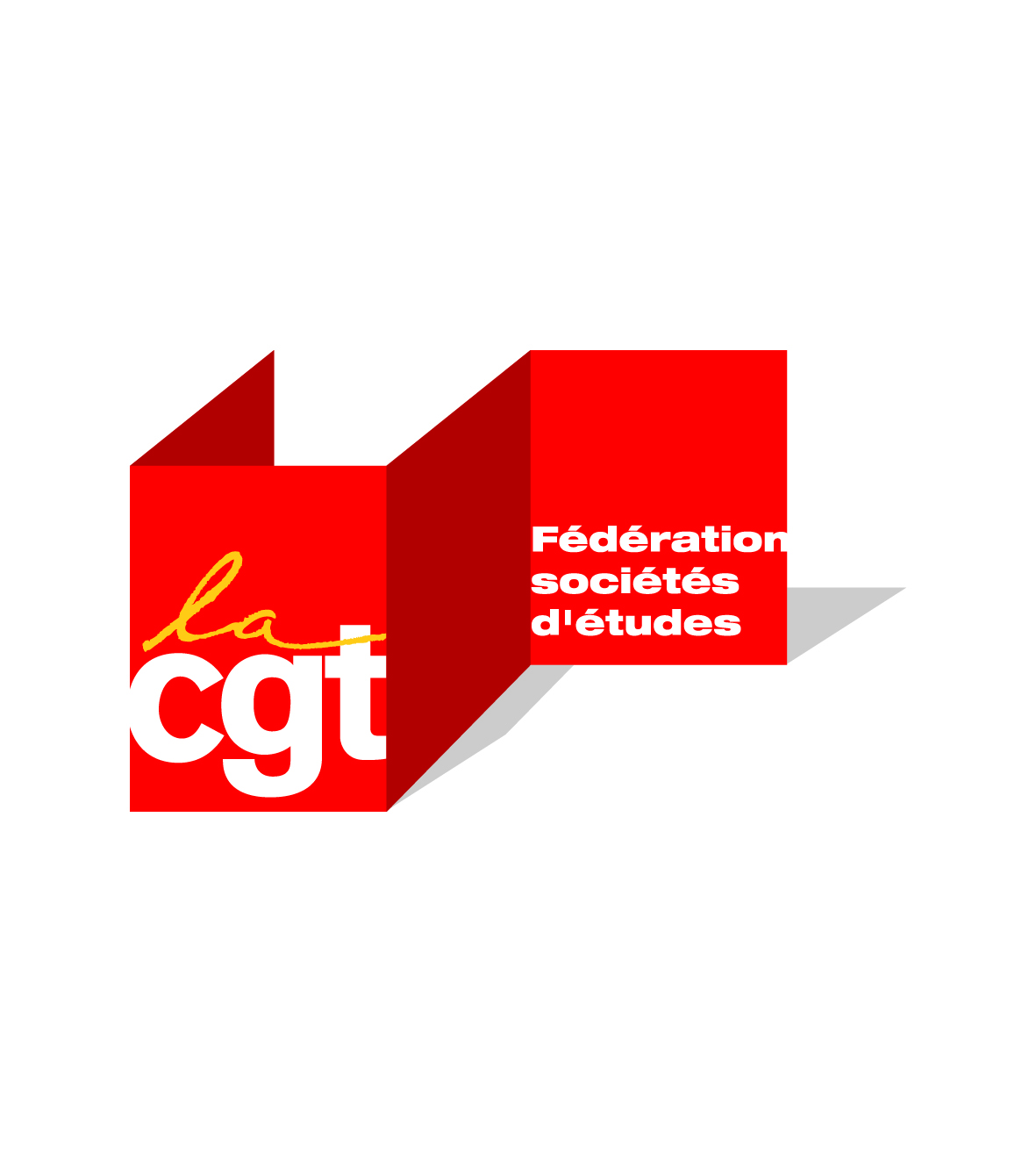 Fédération nationale CGT des sociétés d'études et de conseil et de prévention